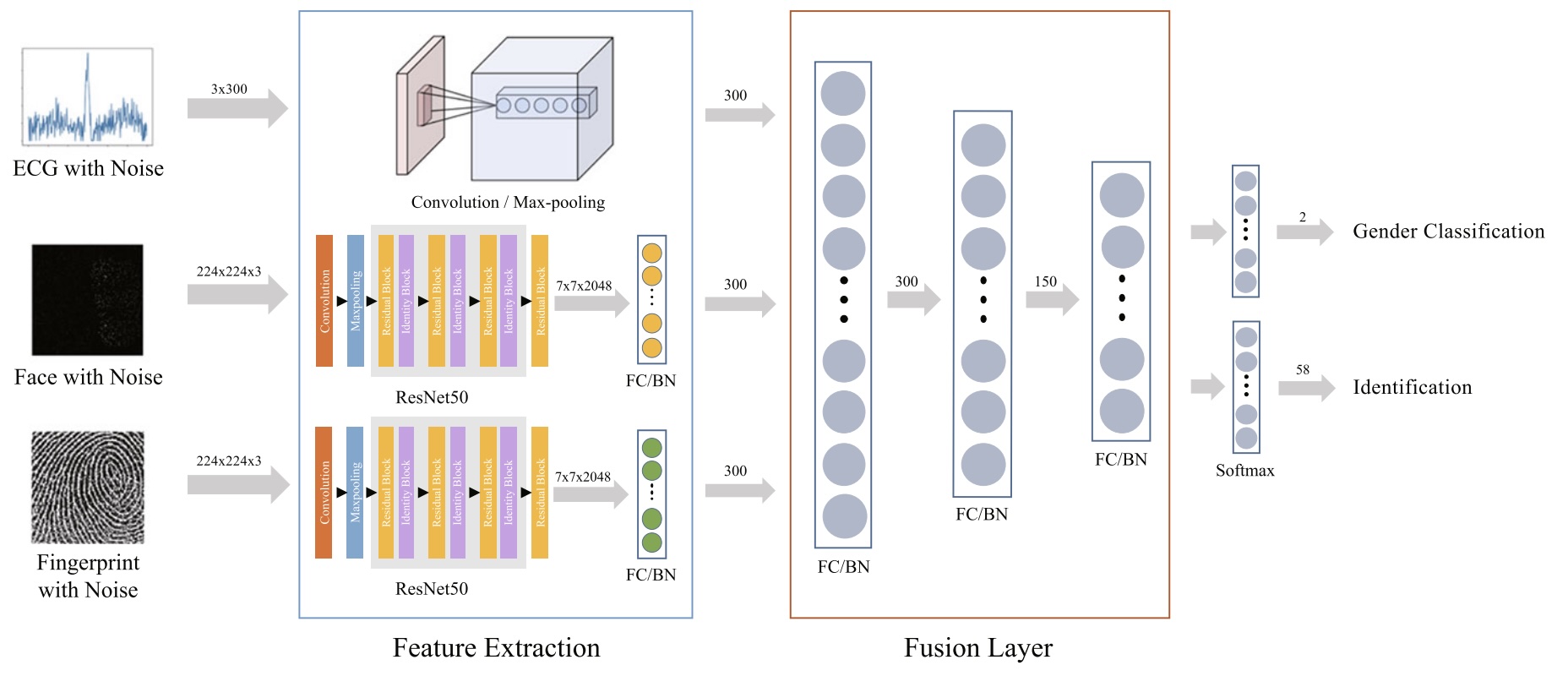 Biometric identification paper thumbnail